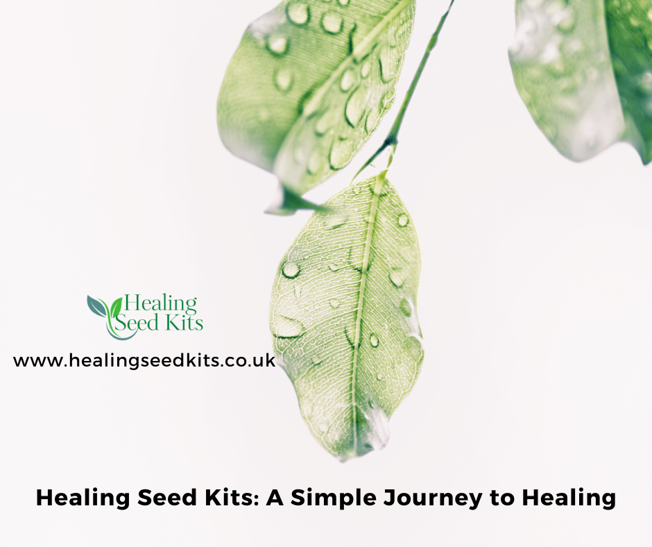 Healing Seed Kits: A Simple Journey to Healing