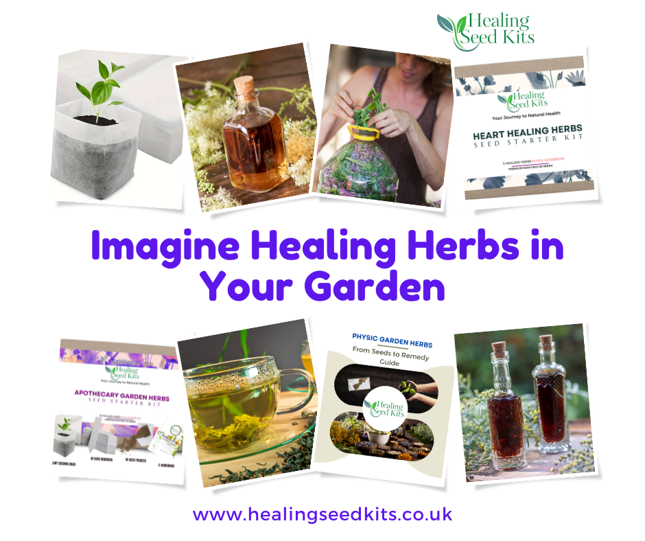 Why You Need Healing Seed Kit Herbs in Your Back Garden