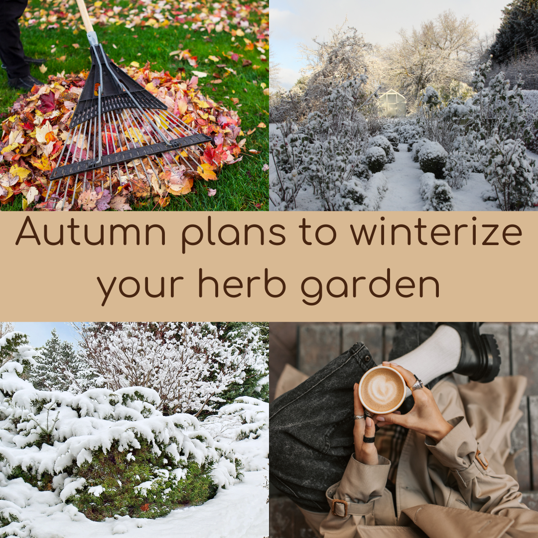 Winterize Your Herb Garden: 10 Essential Tips to Prepare for the Cold Season